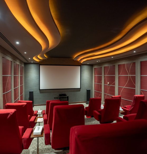 Cinema Room1